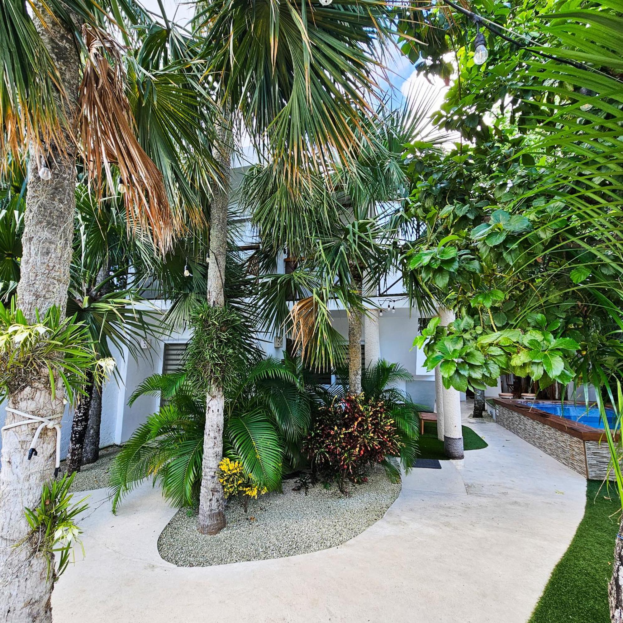 Sayu - Suites Cozumel Exterior photo